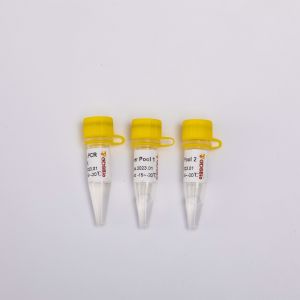 ARTIC SARS-CoV-2 NGS Library Construction Multiplex PCR Kit