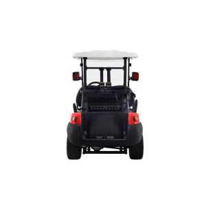 Battery Operated 2 Seater Golf Cart Street Legal With 5 Horsepower Motor