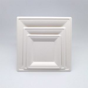 Greaseproof White Square Biodegradable Plates Waterproof Sustainable