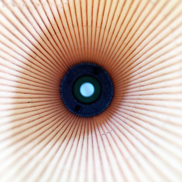 Hot Item Fuel Filter A5410900151 for Top-Selling Pump Trucks Weight kg 1 Height mm 203