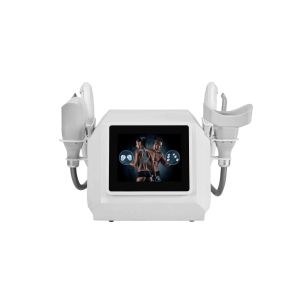 LF-473 portable hiemt cryolipolysis 2 in 1 slimming weight loss machine for