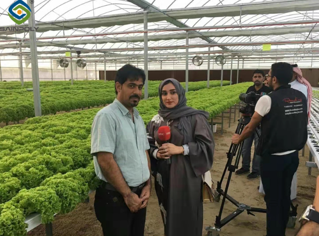 Smart Venlo - type glass greenhouse with top - window opening system and fertilization system