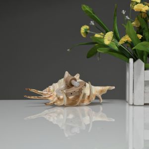 Severe Deafness Hearing Aid Noise Reduction Battery Powered JZ-1088A