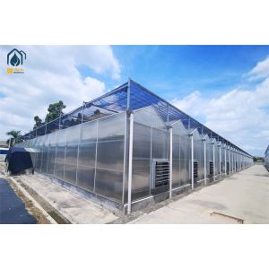 Quality Crop Growth Polycarbonate Greenhouse With Snow Resistant Aluminum Frame for sale