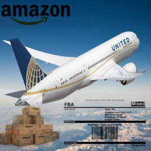 Quality Duty Included Speedy DDP Air Shipping To USA Amazon for sale