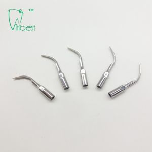 Stainless Steel Woodpecker Ultrasonic Scaler Tips GD1 GD2 GD3 GD4