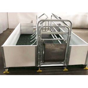 China Hot Dip Galvanized Hog Farrowing Crates Anti Sliding Plastic Slots For Piglets on sale