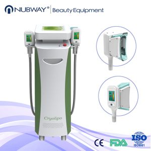 cavitation rf cryolipolysis slimming machine / beauty tighten cryolipolysis system cryo