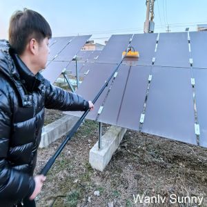 Large Window and Glass Panel Cleaning Telescopic Brush with Professional