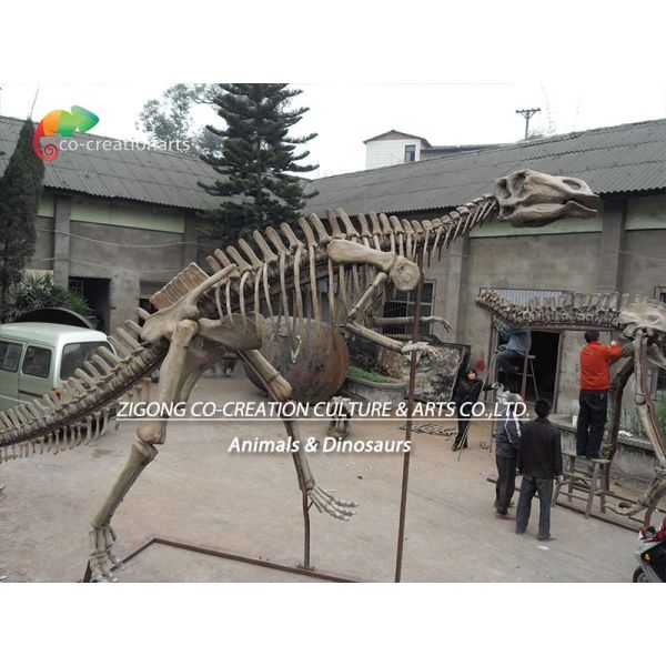 Fiberglass Life Size Dinosaur Skull Replica Hadrosaurus Skeleton anti aging