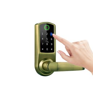 Room Door Smart Fingerprint Door Lock Aluminium Alloy With TT Lock