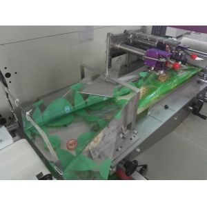 Pillow Bag Frozen Food Packing Machine
