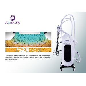 New Technology Cryotherapy Slimming Machine Effective In Body Slimming