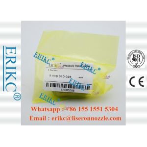 5317174 Bosch Cummins Fuel Rail Pressure Relief Valve 1110010028 4047024016019