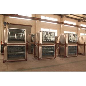 300 - 500BPH Complete Slaughtering Line Small Scale Poultry Processing Solutions