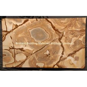 China Luxury Palomino Quartzite Slab Panel,  Yellow Palomino Quartzite Slab on sale