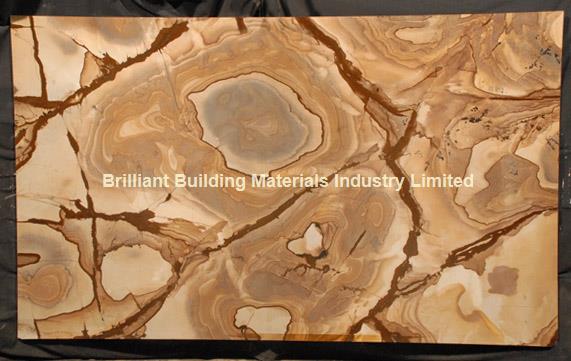 Buy Luxury Palomino Quartzite Slab Panel,  Yellow Palomino Quartzite Slab at wholesale prices