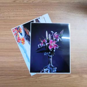 Quality 24&quot;X30m RC Photo Paper Roll for sale