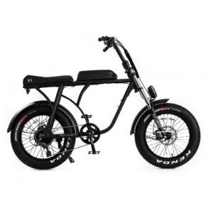 China 20 Fat Tire Electric Bike Beach Cruiser Snow Aluminum 36v 10ah 350w 8FUN Brushless on sale