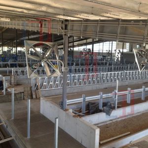 Dairy Agricultural Steel Framed Building Easy Install Prefabricated Light Steel
