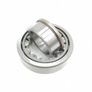 Double Row Cylindrical Roller Bearing NJ205 NJ206 NJ207 OEM Customized