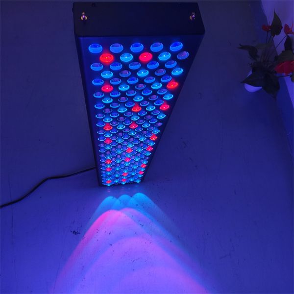 Professional Red Light Therapy Full Body Panels Customized Wavelength Red Light Therapy Devices