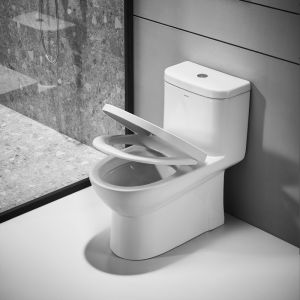 Round Bowl 1.1GPF One Piece Toilets Siphon Flush 4L