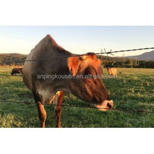 1.5-3cm Barb Length Concertina Razor Wire Fence with Galvanized Steel Wire