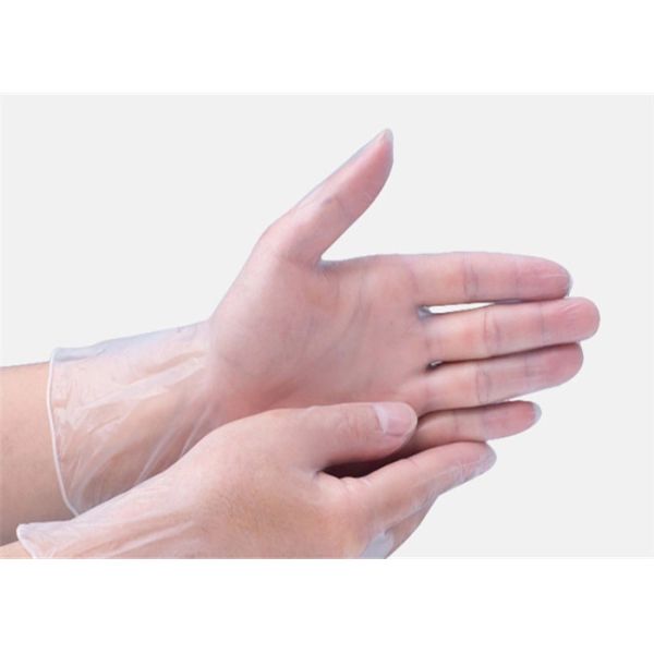 Buy Transparent Disposable Medical Examination Gloves Beauty Dental 100 pcs / Box at wholesale prices