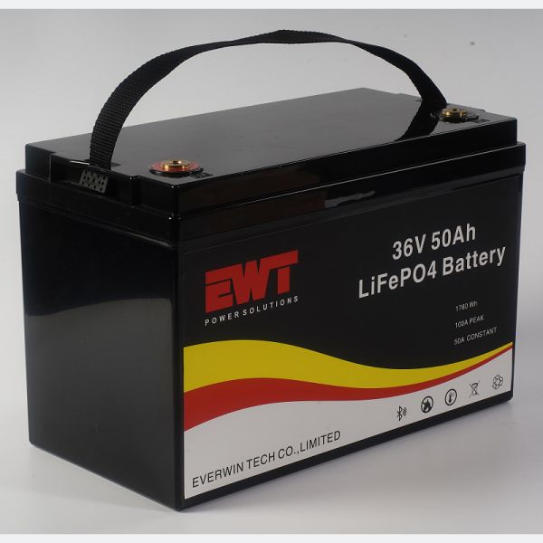 Electric Vehicle Portable LiFePO4 Batteries 36V 50Ah For Energy Storage Battery