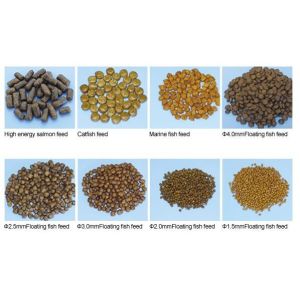 Automatic Professional Dog Food Extruder 3-5 Worker Operation