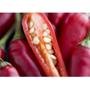 Stemless Bullet Head Chili Dehydrated Chaotian Sun Dried Red Peppers