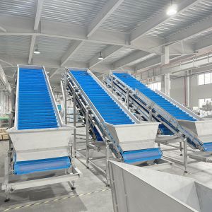 Spinach quick freezing line Fruit and vegetable quick freezing processing