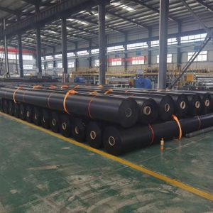 UV Resistant 45 Mil HDPE Geomembrane Pond Liner for Fish Farming 50m-200m Length