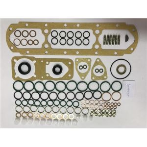 OEM ODM 2417010004 Diesel Injection Pump Rebuild Kit