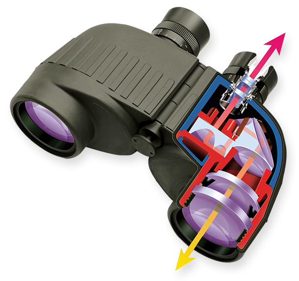 binocular-cutaway.png