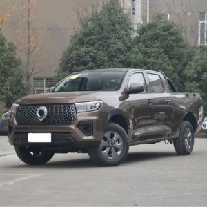 Level Pickup GWM Poer 2024 2.0T 4x4 Diesel Gasoline Vehicle for Two-Wheel Drive