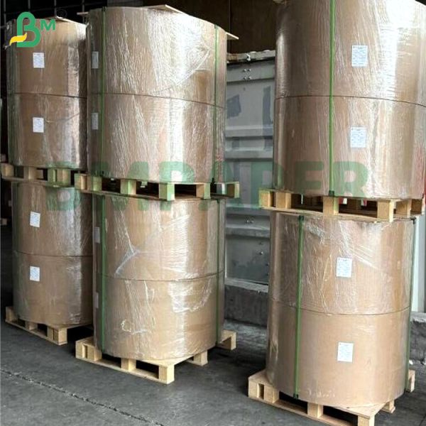 PET Greaseproof Waterproof White One Side Coated Paper Board 200gsm 300gsm