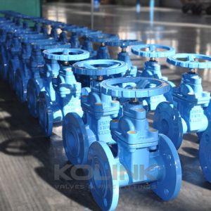 BS5163 Resilient Seated Gate Valve Ductile Iron GGG40 GGG50