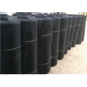 Black Colour Plastic Netting Mesh 20mmx20mm Hole Extruded