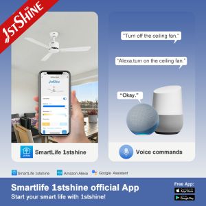 Modern Style 50 Inches Iron Blades Metal Ceiling Fan with Remote Control from