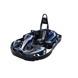 Single Disc Brake Electrical Go Kart 3000RPM Pro Racing Go Kart