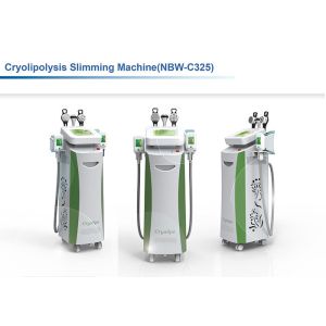 Quality With RF Cavitation 5 Handles Cryolipolysis Fat Freeze Machine Vertical For Men or woman for sale