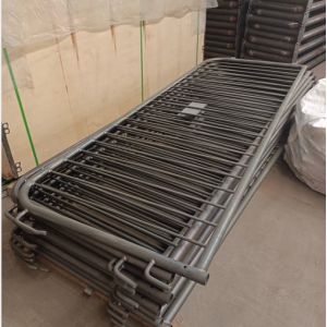 Anping TLWY Galvanised Pedestrian Steel Crowd Control Barriers Powder Coating