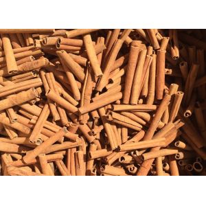 China Yellow Brown Cigarette Cassia Herbs And Spices 8cm 10cm 12cm on sale