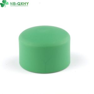 Customization QX Pn 25 PPR Pipe Fitting with Customized Request