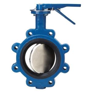 2 inch ductile iron fully Lug style type butterfly valve manufacturer