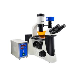 Phase Contrast UOP Inverted Fluorescence Microscope With B G Filter
