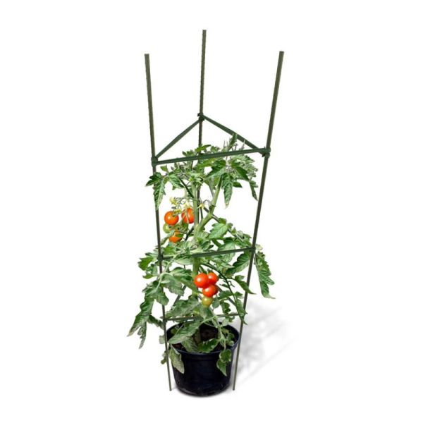 Buy 3 Stick 120cm 16mm Adjustable Potted Metal Garden Plant Stakes at wholesale prices