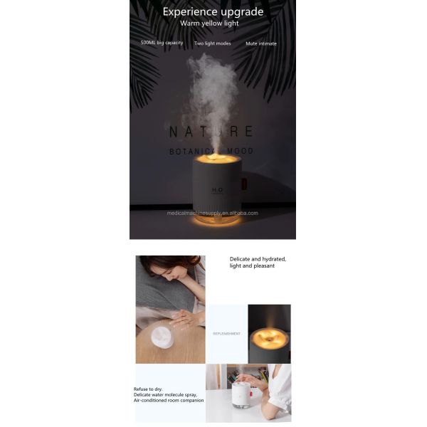 Portable H2O Humidifier Cool-Mist Impeller Humidifier with ABS PP Silica Gel Material